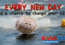 Kata Kata Mutiara Tentang Kehidupan Sehari Hari